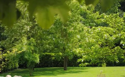 Jardin de l'établissement La Poussardiere