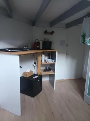 Cuisine ou kitchenette dans l'établissement Studio Hyper centre, quartier historique