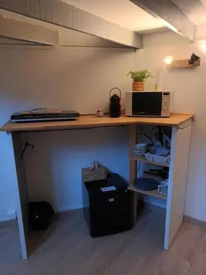 Cuisine ou kitchenette dans l'établissement Studio Hyper centre, quartier historique