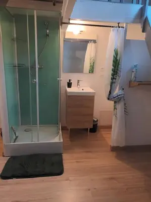 Salle de bains dans l'établissement Studio Hyper centre, quartier historique