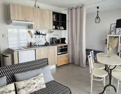 Cuisine ou kitchenette dans l'établissement Ambre Appart-Wifi-Terrasse-Parking-Terrasse-2 couchages