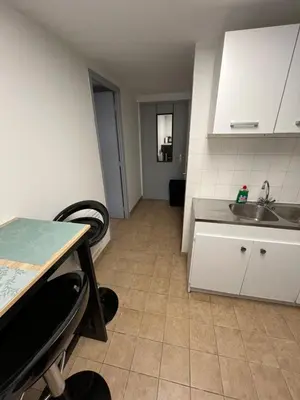 Cuisine ou kitchenette dans l'établissement Logement paisible en bord de Vienne