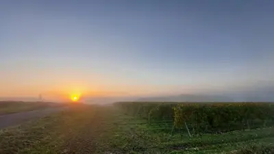 Lever ou coucher de soleil vu de l'appartement ou à proximité