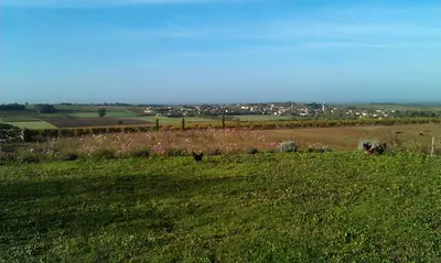 Paysage naturel près de le B&B/chambre d'hôtes