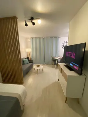 Télévision ou salle de divertissement dans l'établissement Le Girouard - City Center - Private Parking - WIFI, NETFLIX