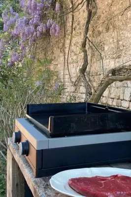 Plan de l'établissement Maison de Famille 8 personnes, grandes pièces de vie, cheminée et piscine