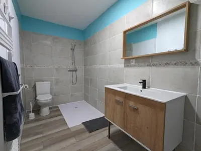 Salle de bains dans l'établissement Maison spacieuse avec piscine privée, climatisation, Wi-Fi, animaux acceptés et parking - FR-1-653-268
