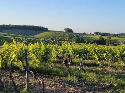 Paysage naturel près de la maison de vacances