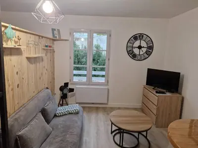 Télévision ou salle de divertissement dans l'établissement Appartement studio Pompon, Wifi, 2 couchages, charme, centre historique