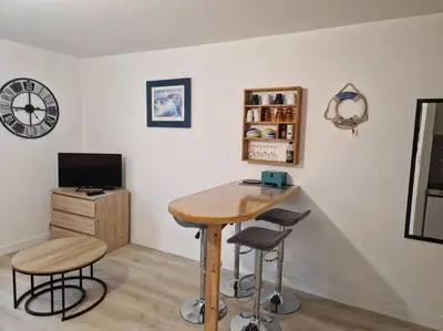 Télévision ou salle de divertissement dans l'établissement Appartement studio Pompon, Wifi, 2 couchages, charme, centre historique