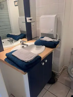 Salle de bains dans l'établissement Manon, 2 pièces, Wifi, coeur historique, calme, central