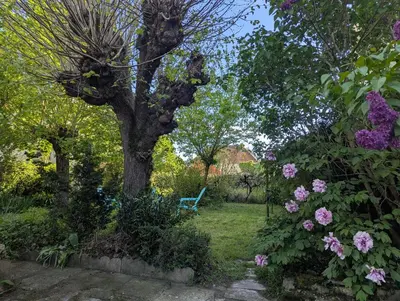 Jardin de l'établissement Maison de bourg avec jardin