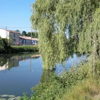 Maison calme au bord de l'eau