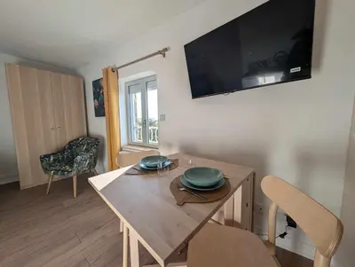 Télévision ou salle de divertissement dans l'établissement L'Exotic - Studio Centre-Ville