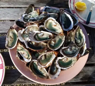 Nourriture dans la maison de vacances ou à proximité