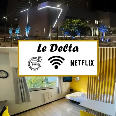 Le Delta - Centre CHU - parking privé - Netflix