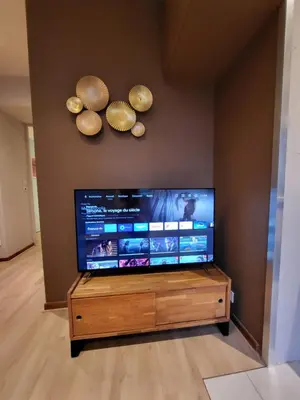 Télévision ou salle de divertissement dans l'établissement Les Glycines, T2 near downtown