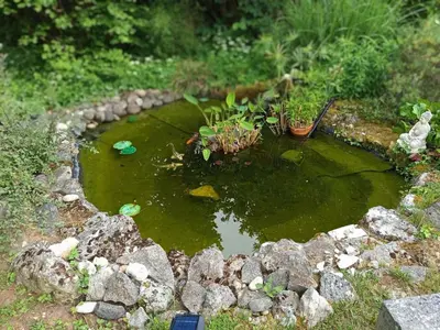 Jardin de l'établissement Gite de Marthon, 10 personnes