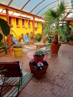 Jardin de l'établissement L'Orangerie