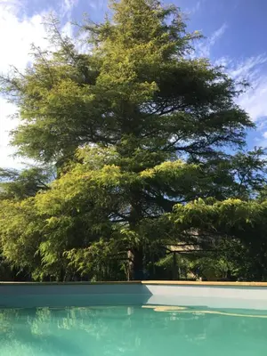 Piscine de l'établissement Moulin De Coupigny ou située à proximité