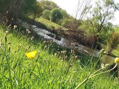 Paysage naturel près de l'appartement