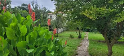 Jardin de l'établissement Le Cerf au Bois Dormant