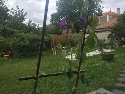 Jardin de l'établissement Accacia Home