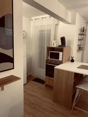 Cuisine ou kitchenette dans l'établissement Appartement moderne Wifi Fibre et Parking privé gratuit avec balcon et ascenseur