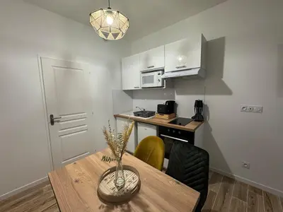 Cuisine ou kitchenette dans l'établissement Studio hyper centre le Cosy