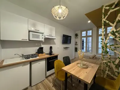 Cuisine ou kitchenette dans l'établissement Studio hyper centre le Cosy