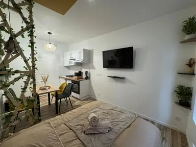 Télévision ou salle de divertissement dans l'établissement Studio hyper centre le Cosy