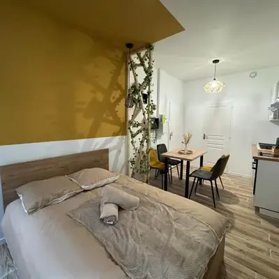 Studio hyper centre le Cosy