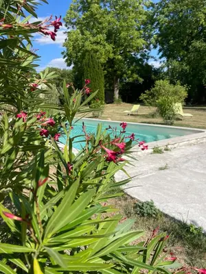 Piscine de l'établissement Séjour en château privé ou située à proximité