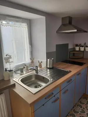 Cuisine ou kitchenette dans l'établissement La maisonnette du marais