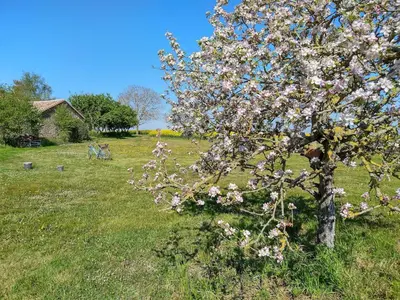 Jardin de l'établissement Maison de famille