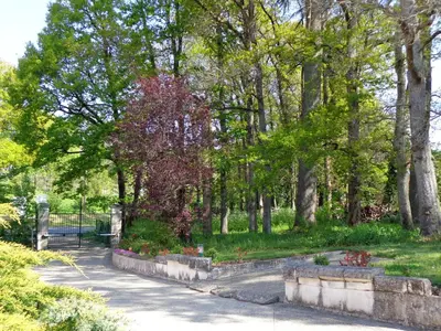 Jardin de l'établissement The Coachhouse Gite