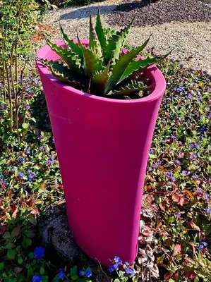 Jardin de l'établissement Lagalerne