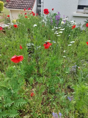 Jardin de l'établissement Lagalerne