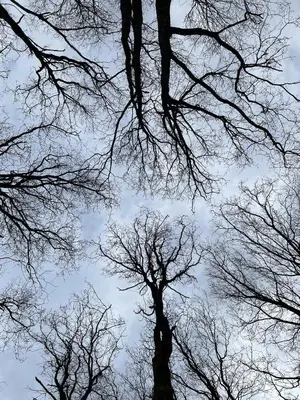 Paysage naturel près de la tente de luxe