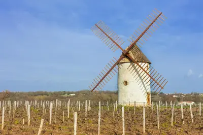 Plan de l'établissement Villa DUXCAAR