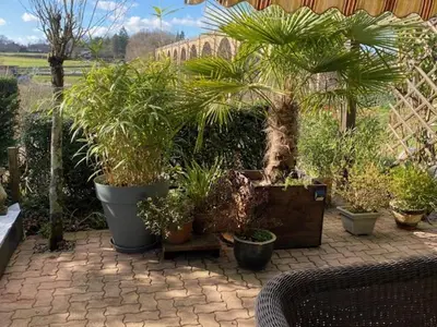Jardin de l'établissement Chambre avec terrasse