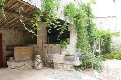 Jardin de l'établissement Gîte lépicerie de madeleine