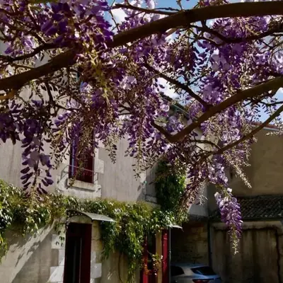 Gîte lépicerie de madeleine