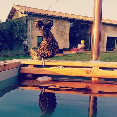 Plan de l'établissement Gîte en matériaux naturels Sauna, couchers de soleil et chevaux