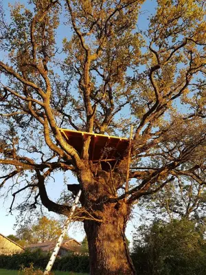Plan de l'établissement Gîte en matériaux naturels Sauna, couchers de soleil et chevaux