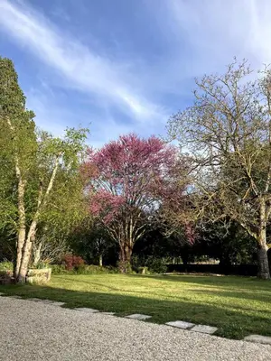 Jardin de l'établissement Gite avec piscine et grand jardin