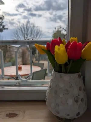 Balcon ou terrasse dans l'établissement Le Jardin de Frida by CozyLife - Cœur de Ville