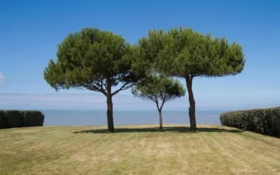 Paysage naturel près de l'appartement
