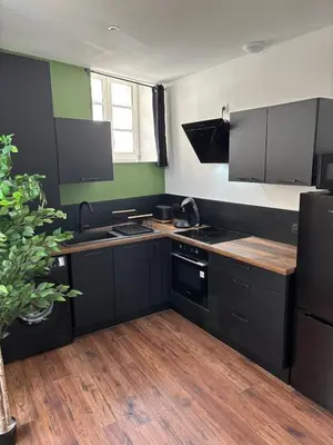 Cuisine ou kitchenette dans l'établissement Appartement plein coeur de ville