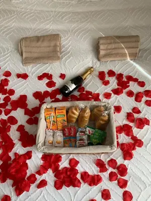 Nourriture dans l'appartement ou à proximité